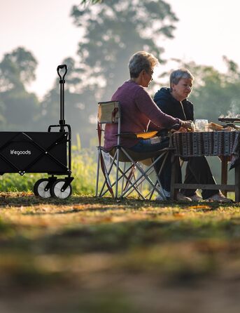 LifeGoods Фарбована візок-тачка, складаний садовий/пляжний візок, чорний – 98x45 см, 94L