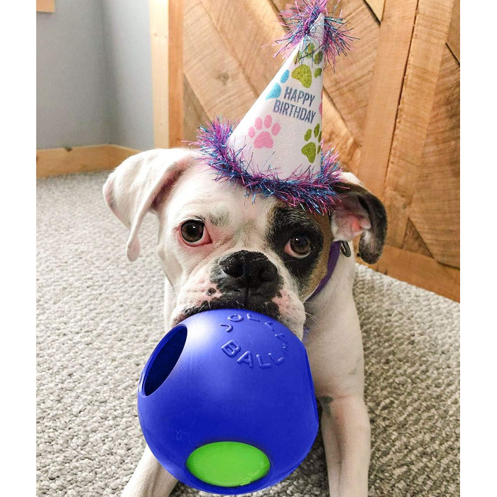 Іграшка для собак Jolly Pets Teaser Ball, 15 см, синя