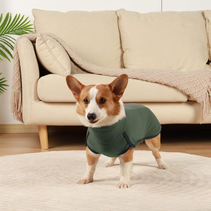 Флісовий пуловер для собак, теплий та легкий, піжама, верхній одяг для осені та зими, для цуценят та собак різних розмірів (зелений, XS)