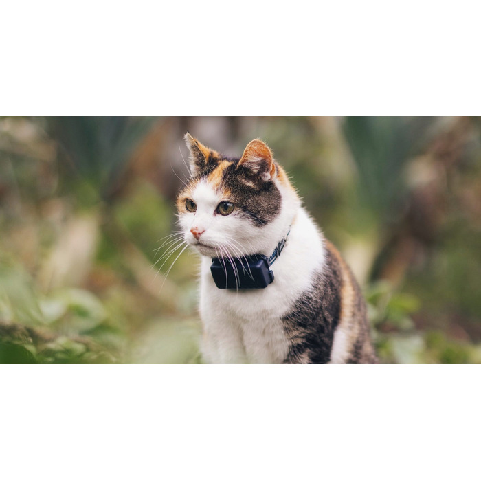 GPS-трекер Tractive CAT Mini для котів, темно-синій
