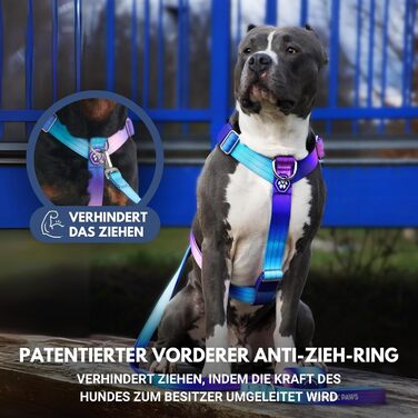 Шлея для великих собак Spark Paws без тяги, з фронтальним кріпленням, міцна, для сильних порід, стиль 90-х, розмір L