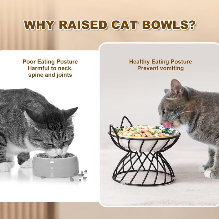 Набори мисок для котів з кераміки Katzennäpfe - 6 шт. Миски для корму для котів у яскравому стилі, широкі, плоскі, зручні для вусів - підходять для мікрохвильової печі та мийки - 250 мл (чорний підставник)