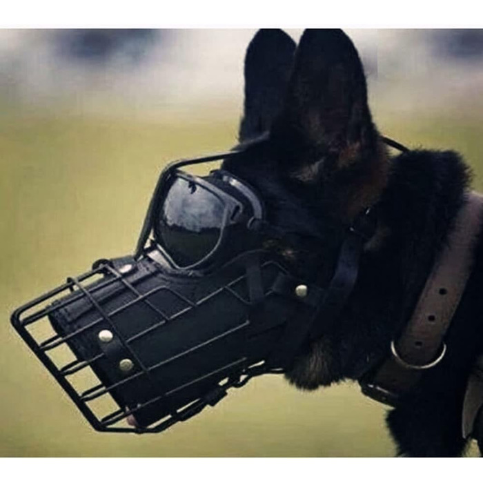 Металевий нашийник-намордник з шкіряним ремінцем для німецької вівчарки, добермана, ротвейлера та інших великих собак (упаковка 10 шт.)