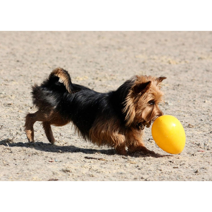 Іграшка для собак Jolly Pets Egg, 20 см, жовта, L/XL