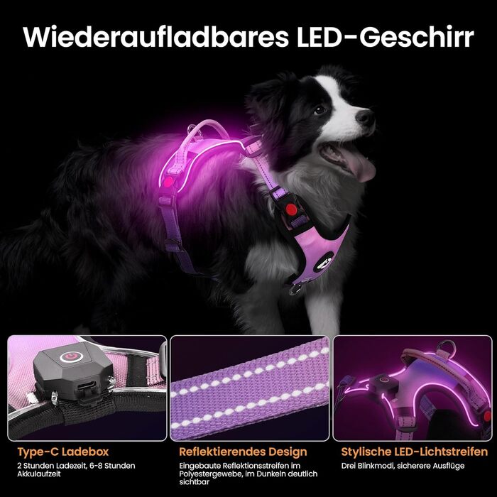 Світловий LED шлейка для собак DAISTERN BSWAY, розмір L, з ручкою, акумуляторна, 3 режими блиску, відбивні смуги, для малих і середніх порід