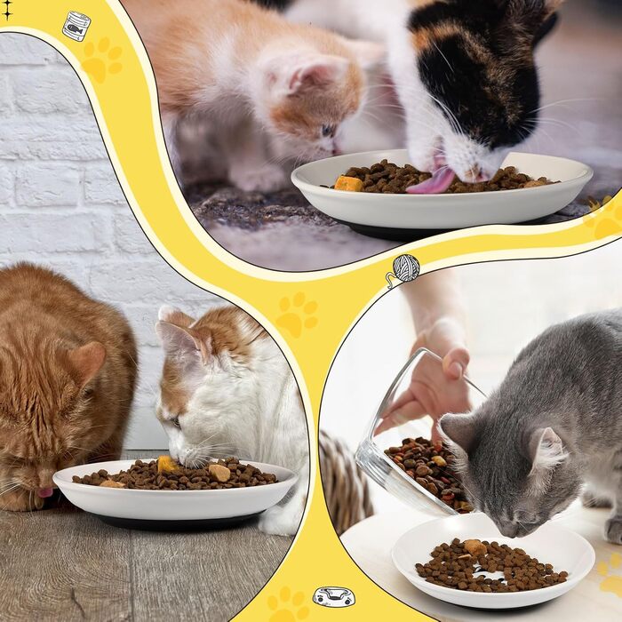 Набір з 6 керамічних мисок для котячого корму, миски для котів, миски для кошенят, антиковзаюча підставка, широкі та плоскі миски для їжі