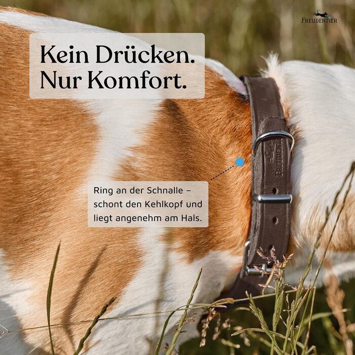 Нашийник для собак Freudentier Alsterufer з натуральної шкіри (шоколадний, 20,5-27 см)