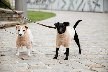 Пуловер для собак Kentucky з м'якого флісу, бежевий, розмір S, 40 см