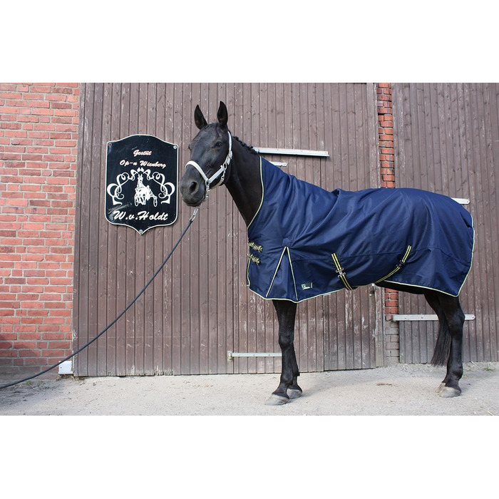 Кінська зимова попона time4horses 1200D з високою горловиною, 300 г, водонепроникна, для стайні та пасовища, 145 см