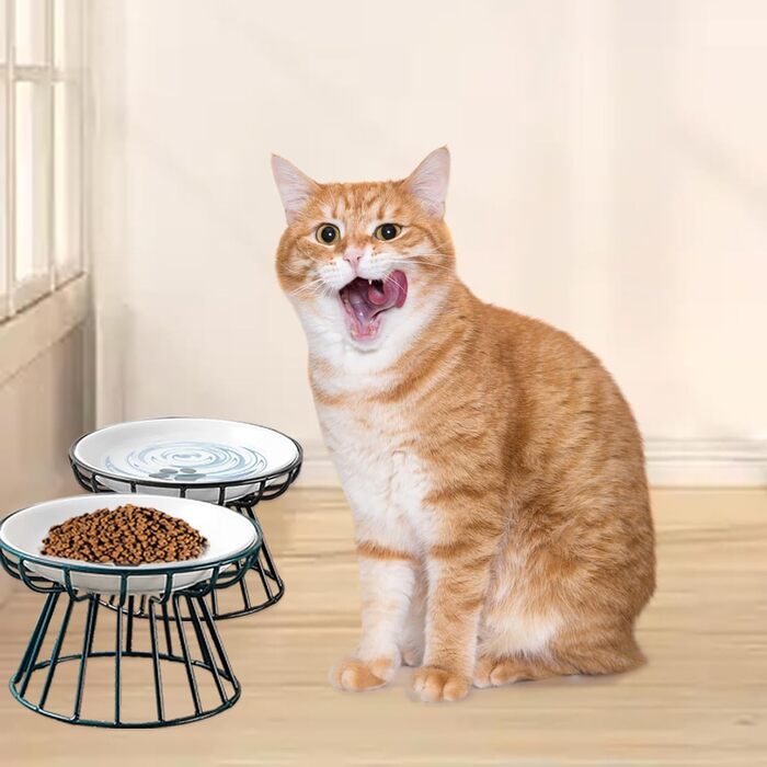 Керамічні годівниці для котів з металевим підставкою, підняті миски для кошенят та води, підняті миски для котів, плоскі миски для домашніх котів, цуценят, маленьких собак, 2 шт. 【2 шт. чорний + зелений】