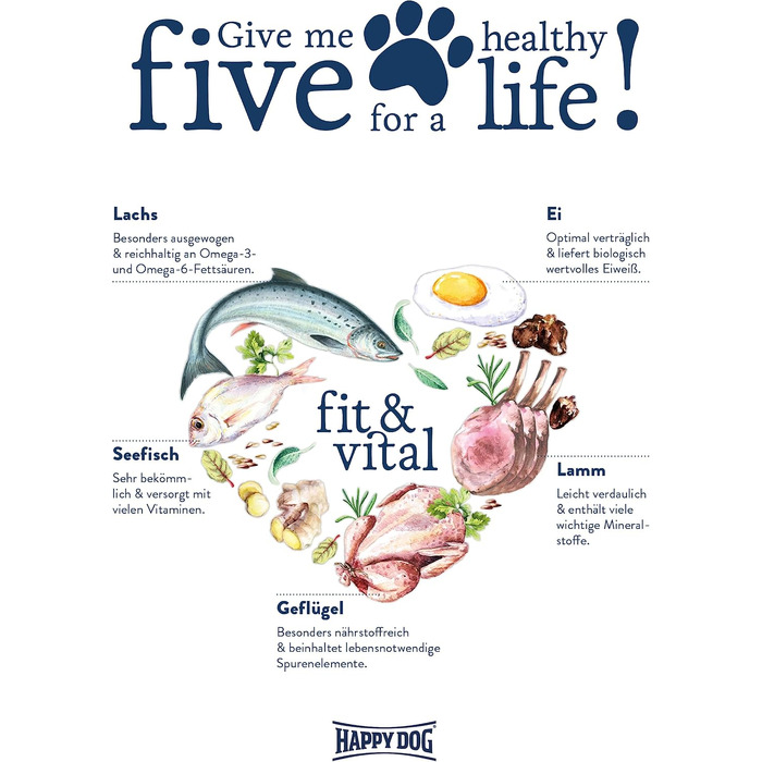 Повнораціонний корм для собак Happy Dog fit & vital Mini Senior для маленьких собак старшого віку, 4 кг