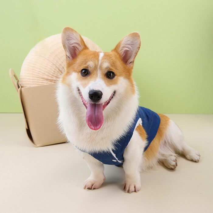 Тепла зимова куртка для собак Zunea з флісовою підкладкою, розмір 4XL, темно-синій