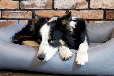 Водонепроникне лежак для собак середнього розміру 4L Textil Koko, знімний та праний чохол, сірий, 80x60 см