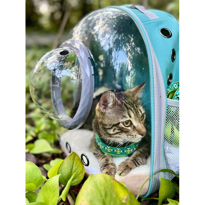 Рюкзак-переноска для котів та малих собак Bubble Cat з прозорим ілюмінатором, водонепроникний рюкзак-капсула для тварин, рожевий