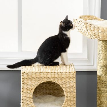 PawHut Когтеточка для котів 100,5 см з будиночком, лежаком, драбинкою, подушкою та сизалевими стовпчиками, для котів до 4,5 кг, натуральний колір