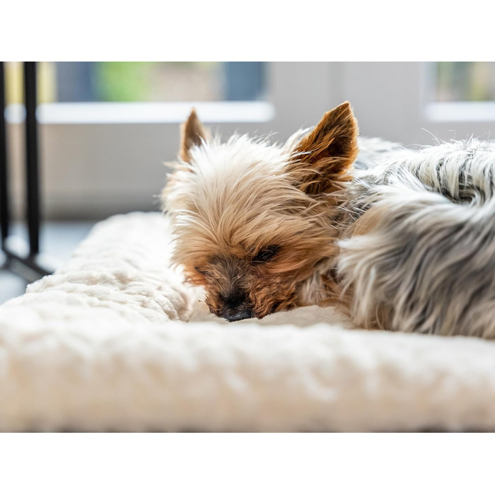 TrendPet Heaven двостороння утеплена лежанка для собак і котів, 4 см, бежевий колір