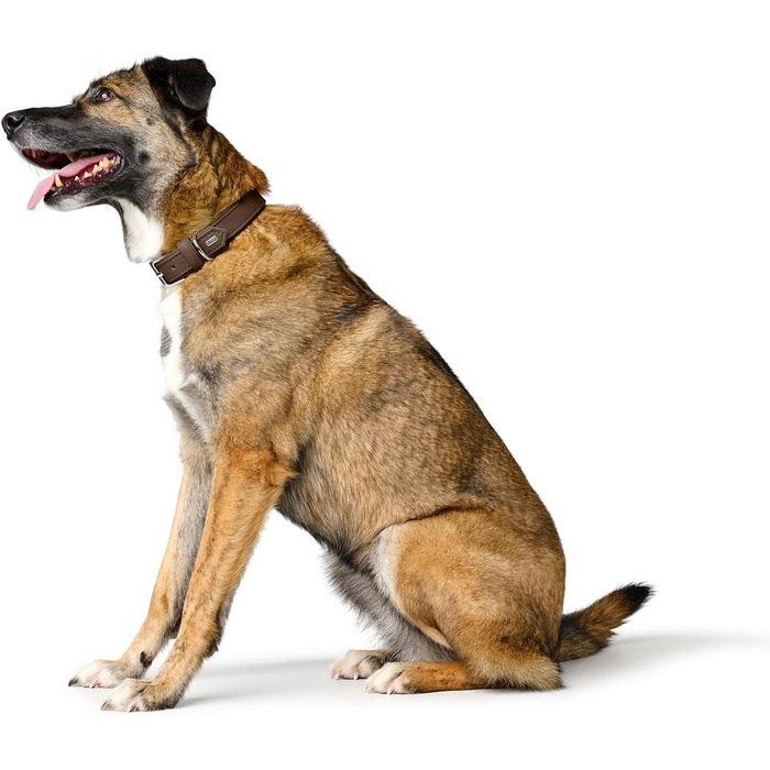 Нашийник для собак HUNTER Amalfi, веганська штучна шкіра Nappa, шоколадно-коричневий (55 см)