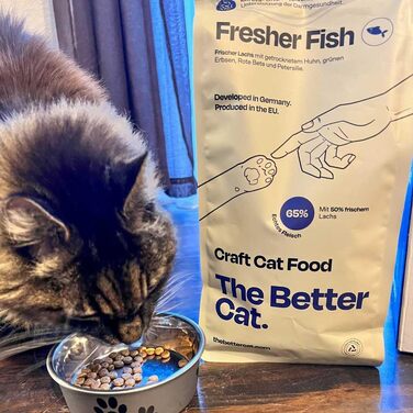 Супер-преміум корм для котів The Better Cat з лососем, беззерновий, з пробіотиками, 1 кг
