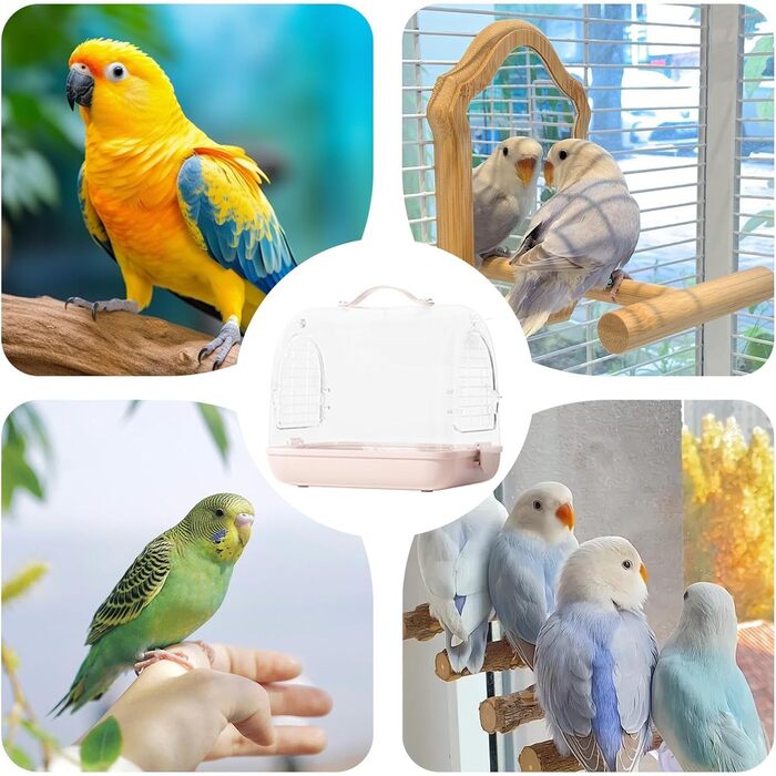 Трансформер для перевезення птахів Nymphensittich: рюкзак-переноска для птахів, прозорий клітка, м'яка переноска, клітка для подорожей з птахами | Переноска для птахів на відкритому повітрі, знімна переноска для хом'яків, прозора переноска для домашніх тв