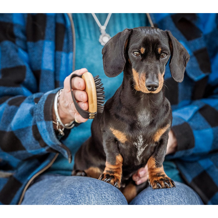 Mikki 6280002 Бамбукова рукавичка-щітка для грумінгу собак та котів з кулькоподібними наконечниками