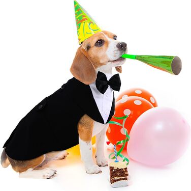 Елегантний костюм для собак: 2 шт. (фліга та бандана), чорний, L