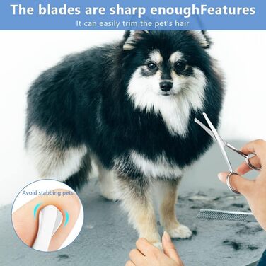 Набір ножиць для собак, 4 шт. з нержавіючої сталі: тример для домашніх тварин, ножиці для нігтів, ножиці для витончення, вигнуті ножиці та гребінець для грумінгу собак, котів та інших тварин (1 маленька ножиця)