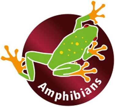 Дрібничка для хобі Hobby Stump - 27,6 x 19,4 x 7,4 см, 1 шт.