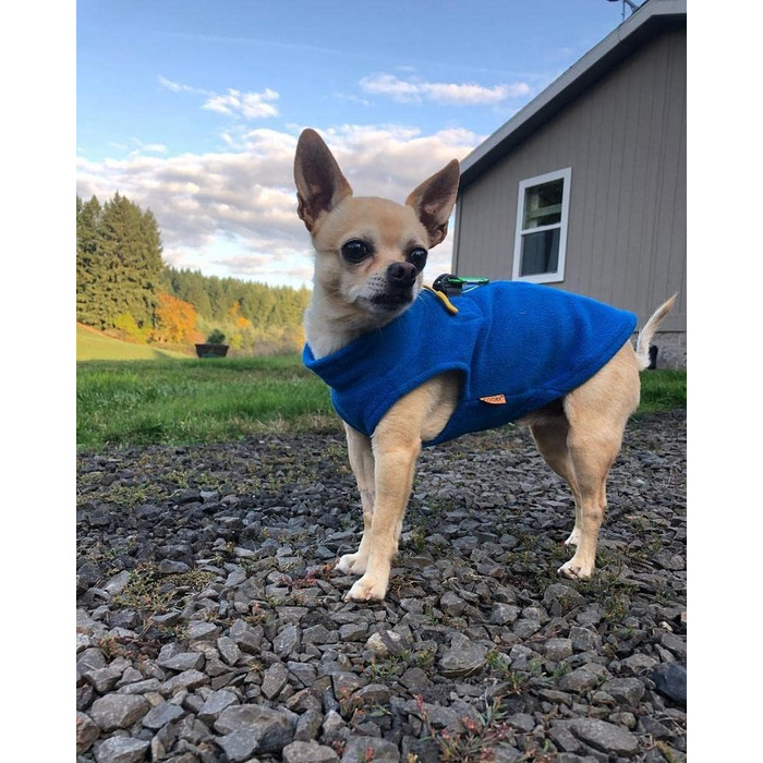 Теплий флісовий собачий светр Gooby з блискавкою, блакитний, розмір S. Зручний для прогулянок, з подвійним D-подібним кільцем для повідка. Підходить для маленьких собак, зимовий одяг для собак. Обхват грудей ~34 см