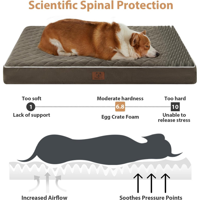 Ортопедичне собаче ліжко WNPETHOME, середнього розміру, водонепроникне, знімний та пральний чохол, антиковзаюча підкладка, багатонитковий стежок, для клітки (темно-зелене, 88,9 x 55,9 x 7,6 см)