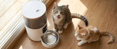 Автоматичний годівник для тварин з WiFi, пластиковий, біло-чорний, 3000 мл, 18.20 см