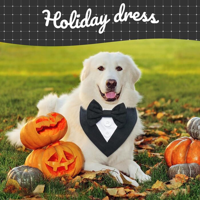 Нашийник для собак Kuoser, святковий аксесуар, бандана для великих собак, чорний колір, розмір L