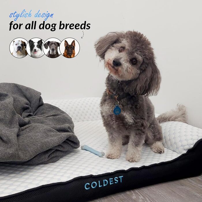 Охолоджувальне ліжко для собак Coldest Cozy, середнє, сіре – знімний та праний чохол, нековзке, для малих і середніх порід