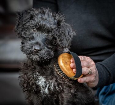 Набір для догляду за шерстю Міккі 6280004 для цуценят та молодих кошенят: щітка з щетиною та гребінець, для собак та котів, з бамбука, 130 г