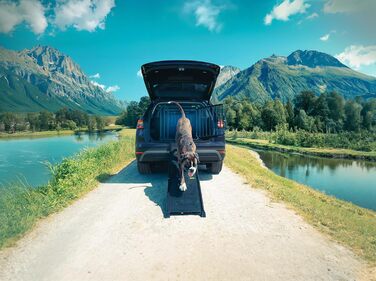 4pets Easy-Steps - Рампа для собак у бокси, металевий сірий колір, швейцарська якість