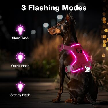 Світловідбиваючий нашийник для собак великих порід Feycig з LED підсвічуванням, акумуляторний, регульований, 3 режими світла, висока видимість (Рожевий, Medium)
