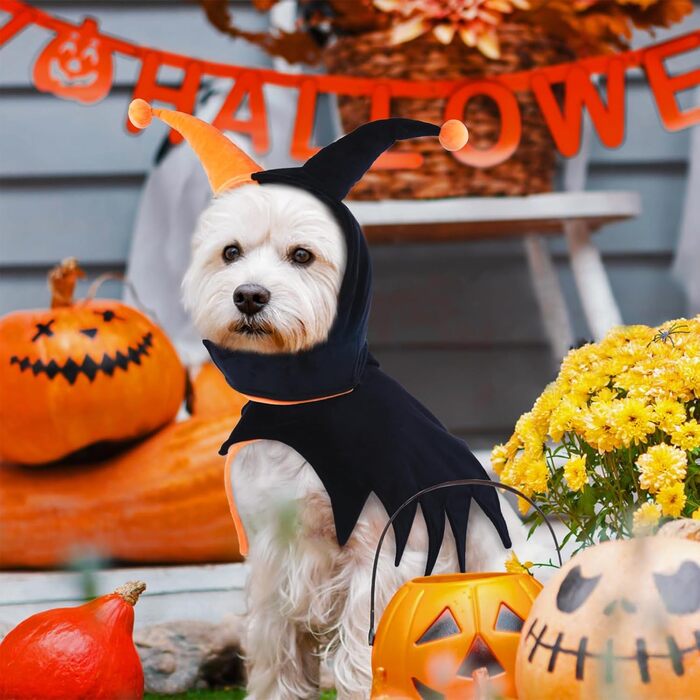 Костюм клоуна для собак Lelepet на Halloween, Cosplay, для свят, оранжевий, розмір M