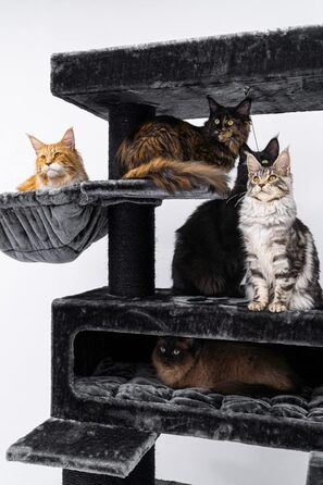 Дерев'яний кігтеточка для великих котів Petrebels Maine Coon XXL Lookout 198, надміцний, стовпи 15 см Ø, 100x60x198 см, чорний