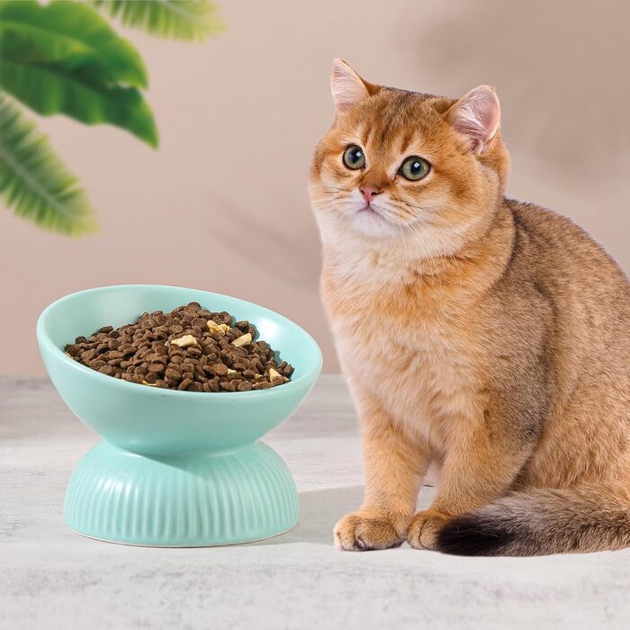 Підвищена годівниця для котів з кераміки, нахилена - проти блювоти, 280 мл, діаметр 15,5 см, білий колір, велика (зелена, велика)