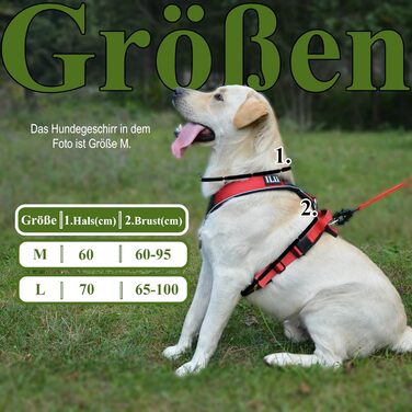 Нашийник для собак III Y - міцний, елегантний та комфортний. Унікальний дизайн для середніх та великих собак. Червоний (L)