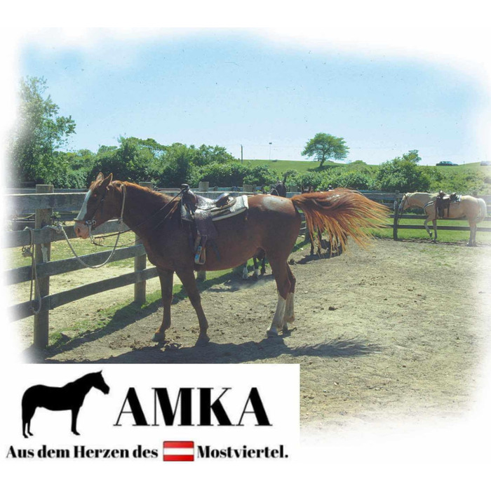 Дитячий ковбойський сідло AMKA DE ROSA чорний/рожевий для поні та шеток