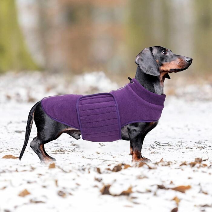 Флісова куртка для собак, джек-рассел, мініатюрний джек-рассел, зимова куртка з відбиваючими елементами, водовідштовхуюча, фіолетовий, розмір L (довжина спини 45 см)