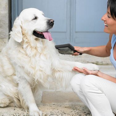 Гребінець для собак від Haustierkamm: видаляє ковтуни та вичісує шерсть середніх та довгошерстих собак