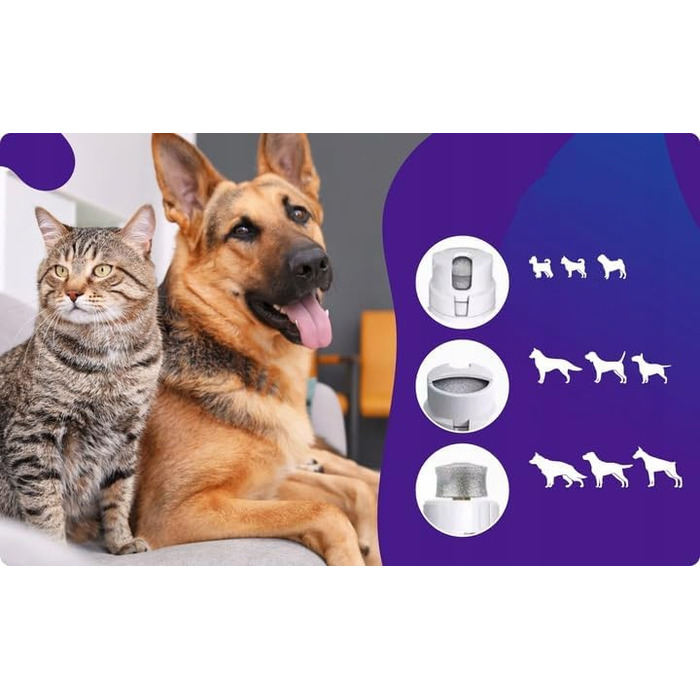 Електрична шліфувальна машинка для собак та котів – 3-в-1, USB-зарядка, 8000 об/хв, тиха та безпечна, ергономічна, для маленьких, середніх та великих тварин