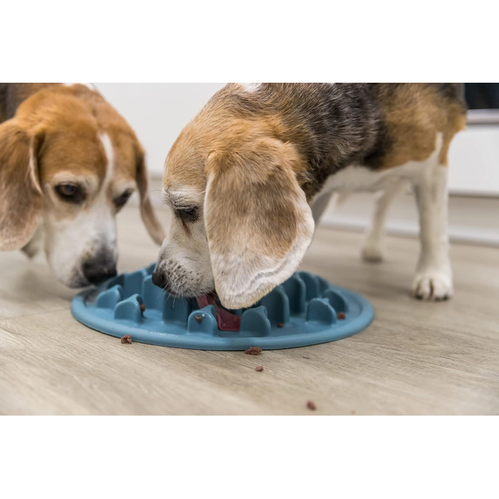 Таця для повільного годування TRIXIE Slow Feeding Anti Schling Matte Pillars, Ø 35 см, блакитна