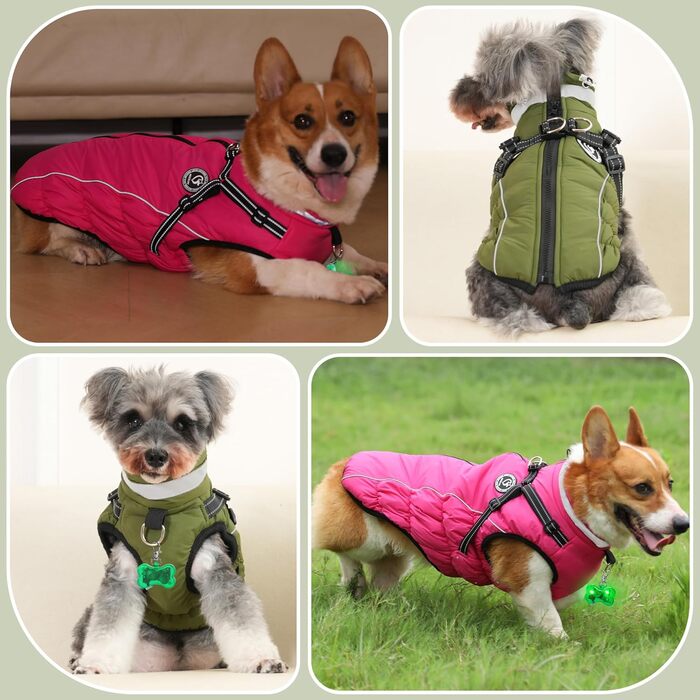 Зимовий одяг для собак: теплий, водонепроникний зимовий одяг з дзвоником, світловідбиваючі смуги, LED-ошийник, для маленьких та середніх собак (зелений, XL)