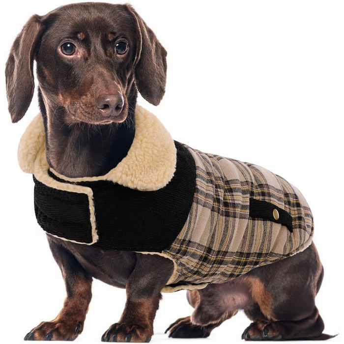 Зимова куртка для великих собак, вітронепроникна, для холодної погоди, одяг для тварин, куртка від снігу, для Golden Retriever, Labrador Retriever, Husky, розмір XL (M, Бежевий)