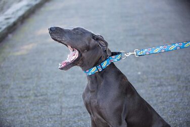 Нашийник Martingale для собак RC Pet Products, ширина 2,5 см, текстильний, з комікс-принтом