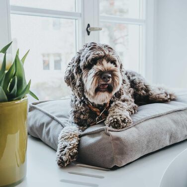 Ортопедична подушка для собак HUNTER Merida, розмір M, колір тауп