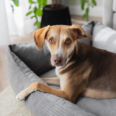 4L Textil Boho Hundebett: Корінь для собак з корду, великі породи, 100x80 см, сірий, м'яке собаче ліжко, Boho стиль