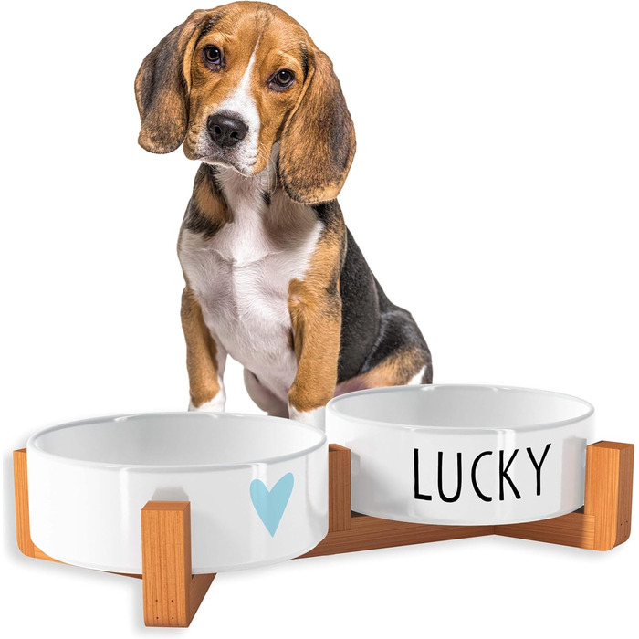 OWLBOOK Миска для собак з гравіюванням імені, подвійна миска для корму та води, кераміка, бамбук, 300 мл (синя зіркочка)